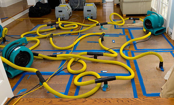 Professional Basement Flood Cleanup technician working in Memphis, NE